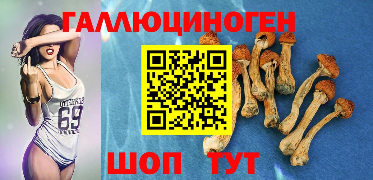 Белово  Псилоцибиновые грибы мицелий  где можно купить   Вход с VPN  Псилоцибиновые грибы Psilocybine cubensis 