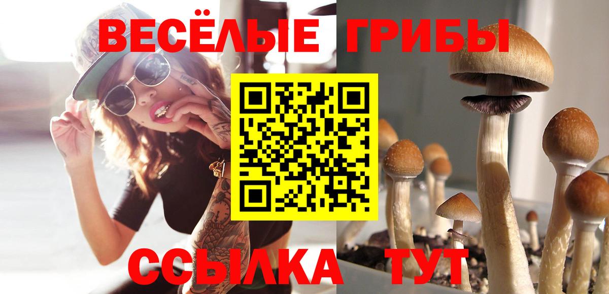 Псилоцибиновые грибы мицелий Белово